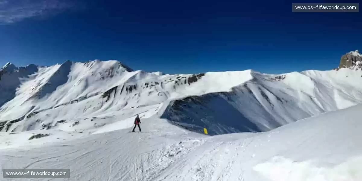 🎙️深度解读，冠军之路！🏆揭秘赛场背后的热血与汗水！